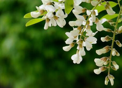 �����Ĺ�Ч�c����-�����Ľ�B