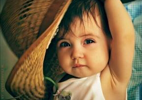 �cθ�������t��-����Ԫ�����o�c��