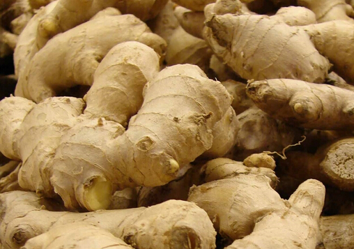 �������_�Ĺ�Ч������-�ЋD�����������_�᣿