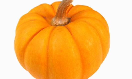 南瓜種植時(shí)間是什么時(shí)候?南瓜最佳種植時(shí)間