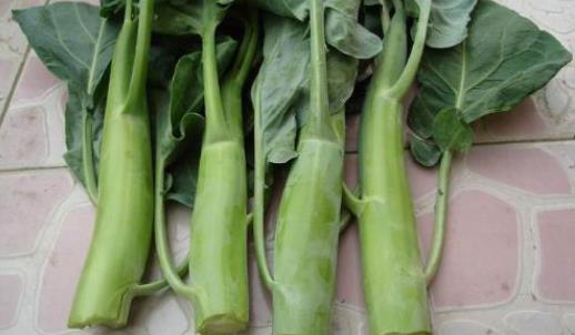 芥藍的生長周期分成哪幾個階段 芥藍有幾個生長周期