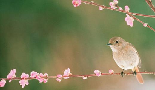 早春一般是幾月 早春是什么時候