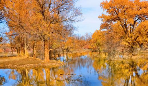 額濟納胡楊林最佳觀賞時間 額濟納胡楊林什么時候去最好