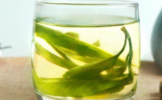 苦丁茶什么時候喝最好 喝苦丁茶最佳時間