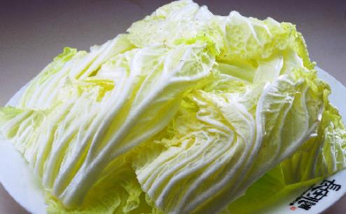 大白菜什么時候種最合適?大白菜最佳種植時間