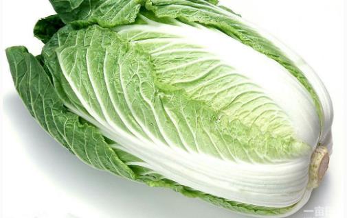 大白菜什么時候種最合適?大白菜最佳種植時間