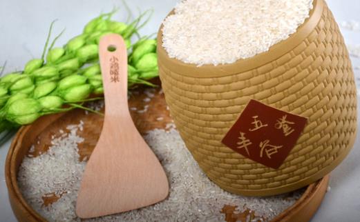 五常大米什么時(shí)候種植 五常大米種植時(shí)間