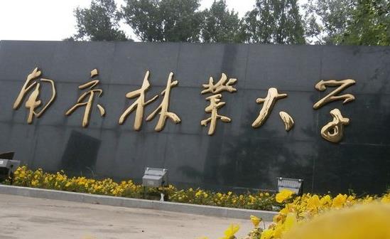 3、南京林業大學.jpg