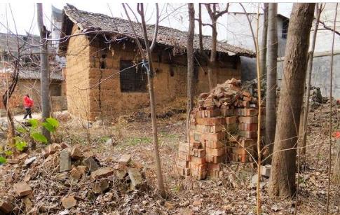 中國十大兇殺案排行榜,清華投毒案至今未破