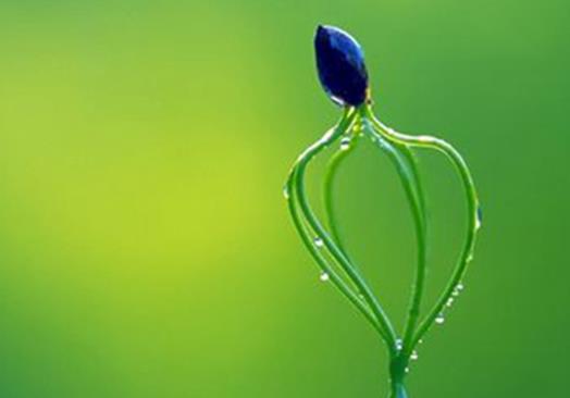 十大著名的心理學(xué)流派排行榜,內(nèi)容心理學(xué)最出名