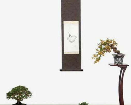 世界十大金獎盆景排行榜,中國黃雀梅盆景位列第五