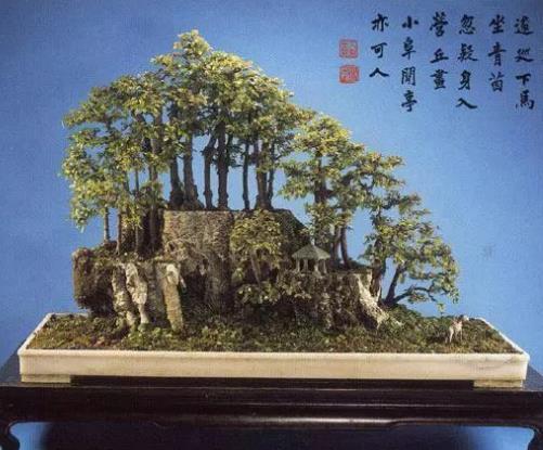 世界十大金獎盆景排行榜,中國黃雀梅盆景位列第五