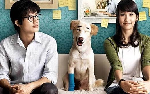 感人至深的泰國電影排名,《yes or no》《暹羅之戀》很動人