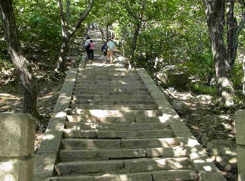 深圳寶安區最好玩的地方排名,深圳鳳凰山、海上田園風光都不錯