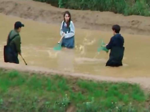 收視率前十的綜藝節(jié)目排名,非誠勿擾、快樂大本營名氣都很大