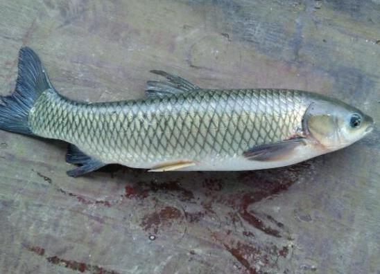 �Ї���Ե�ʮ�N��ˮ�~�����~���_θ���a�����~�~��Ԍ�