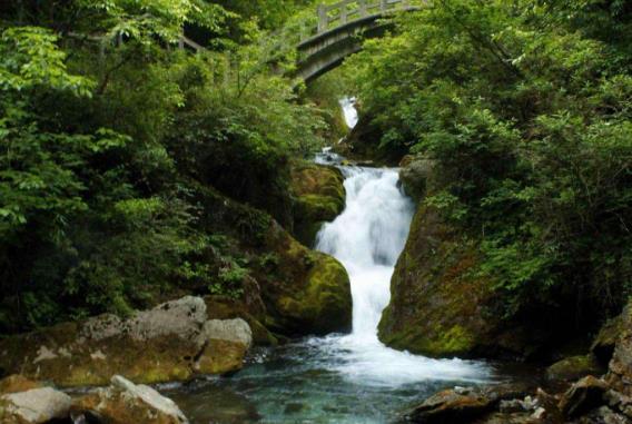 湖北省神農架十大旅游景點排行榜 神農架有什么好玩的地方