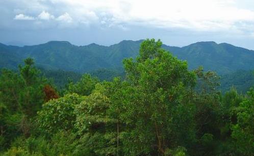 海南省白沙市十大旅游景點排行榜 白沙有什么好玩的地方