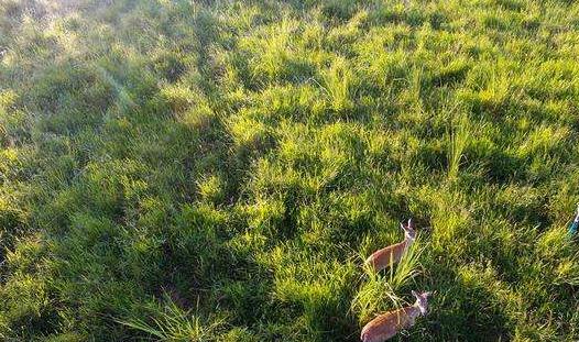 海南省白沙市十大旅游景點排行榜 白沙有什么好玩的地方