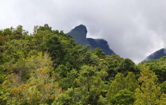 海南省白沙市十大旅游景點排行榜 白沙有什么好玩的地方