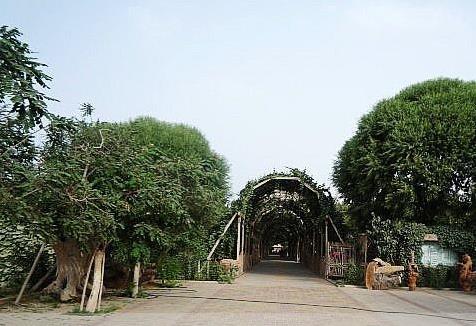 新疆省和田十大旅游景點排行榜 和田有什么好玩的地方