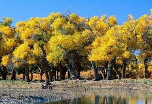 新疆省哈密市十大旅游景點(diǎn)排行榜 哈密有什么好玩的地方