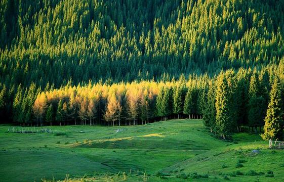新疆省石河子十大旅游景點排行榜 石河子有什么好玩的地方