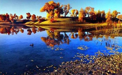 新疆省阿拉爾旅游景點排行榜 阿拉爾有什么好玩的地方