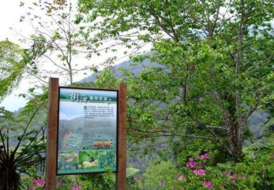 臺灣屏東十大旅游景點排行榜 屏東有什么好玩的地方