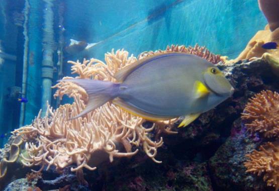 臺灣屏東十大旅游景點排行榜 屏東有什么好玩的地方