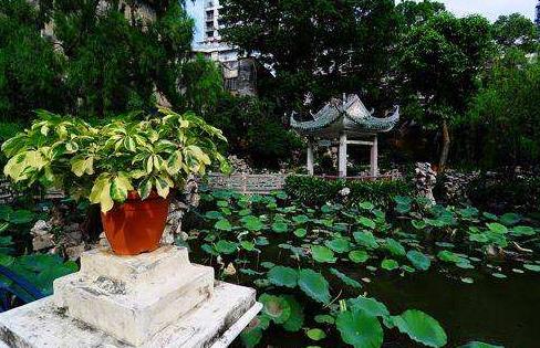 澳門望德堂區十大旅游景點排行榜 望德堂區有什么好玩的地方