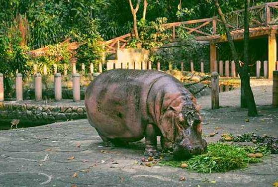 菲律賓首都區(qū)十大旅游景點(diǎn)排行榜 首都區(qū)旅游有什么好玩的地方