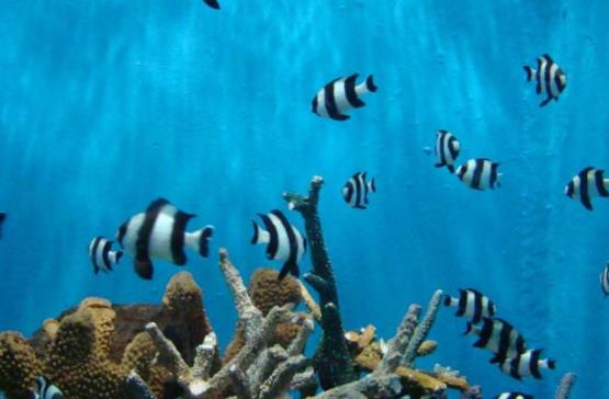 菲律賓首都區(qū)十大旅游景點(diǎn)排行榜 首都區(qū)旅游有什么好玩的地方