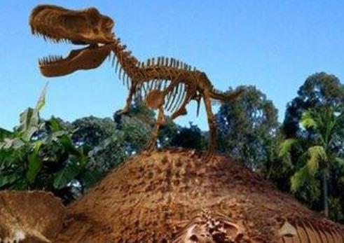 愛爾蘭科克郡十大旅游排行 英國市場有著兩百多年的歷史