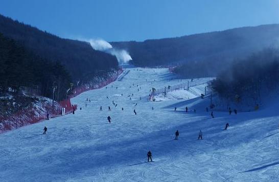 北京冬奧公園可以免費(fèi)停車嗎?2022年冬奧會(huì)是在鳥巢舉行嗎?