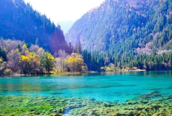 ��կ���TƱ������ǰ����A������կ���TƱ������ӆ��