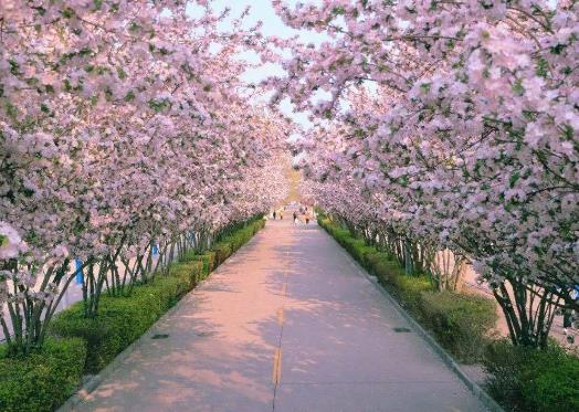 ��h�ѻ�ʲô�r���_����h�ęѻ�ʲô�r��Y��