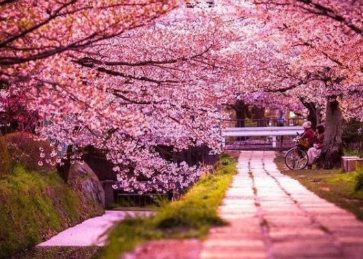 ������Ѯ��ȥ��h��W���ѻ��᣿3��ȥ��h���ѻ���Ҫ������z�y��