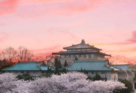 三月中旬能去武漢大學看櫻花嗎?3月去武漢看櫻花需要做核酸檢測嗎
