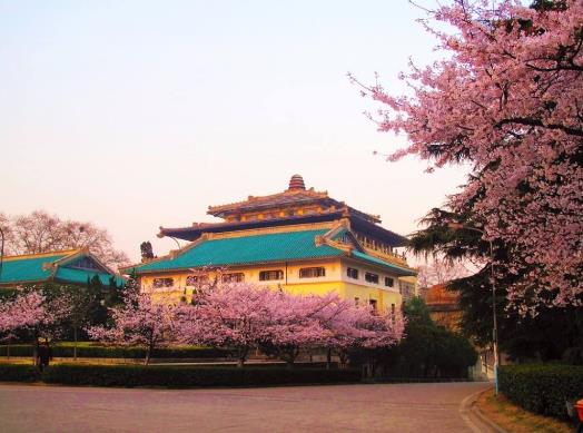 2022年武漢4月有櫻花嗎?2022年武漢清明前后還能看櫻花嗎