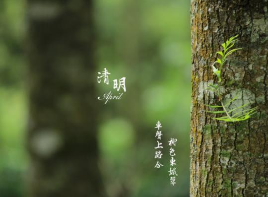 2022清明期間天津天氣怎么樣?天津今年清明能不能上墳燒紙