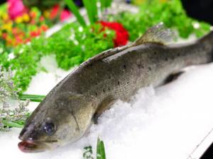 鱸魚的營養價值與功效-鱸魚的適宜人群