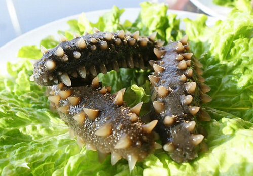 �������m����Ⱥ-�����ĠI�B(y��ng)�rֵ