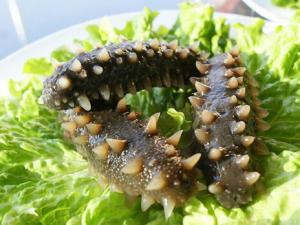 海參的適用人群-海參的營養價值