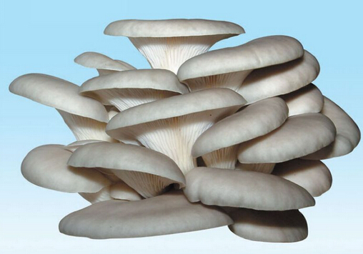 ƽ���ĠI�B(y��ng)����Ч-ƽ�����m����Ⱥ