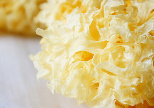 �y���Ĺ�Ч�c�I�B-�y�����m����Ⱥ