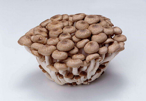 зζ���ĠI�B����Ч-зζ�����m����Ⱥ