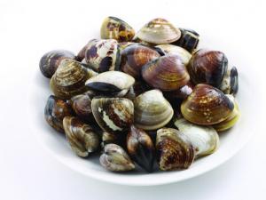 河蚌怎么洗?河蚌的營養(yǎng)價(jià)值及功效