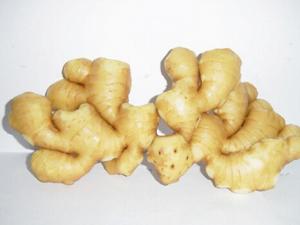 生姜去痘印有效嗎?生姜的功效與作用