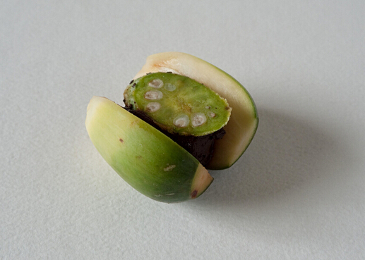 ���Ƶĺ�̎-���Ƶ�����